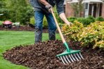 How to Easily Remove Leaves from Your Mulch